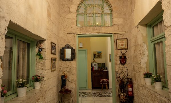 צילום: אלון לויטה